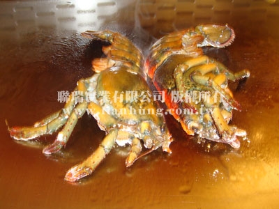 把对切加拿大螯龙虾直接放在铁板上煎